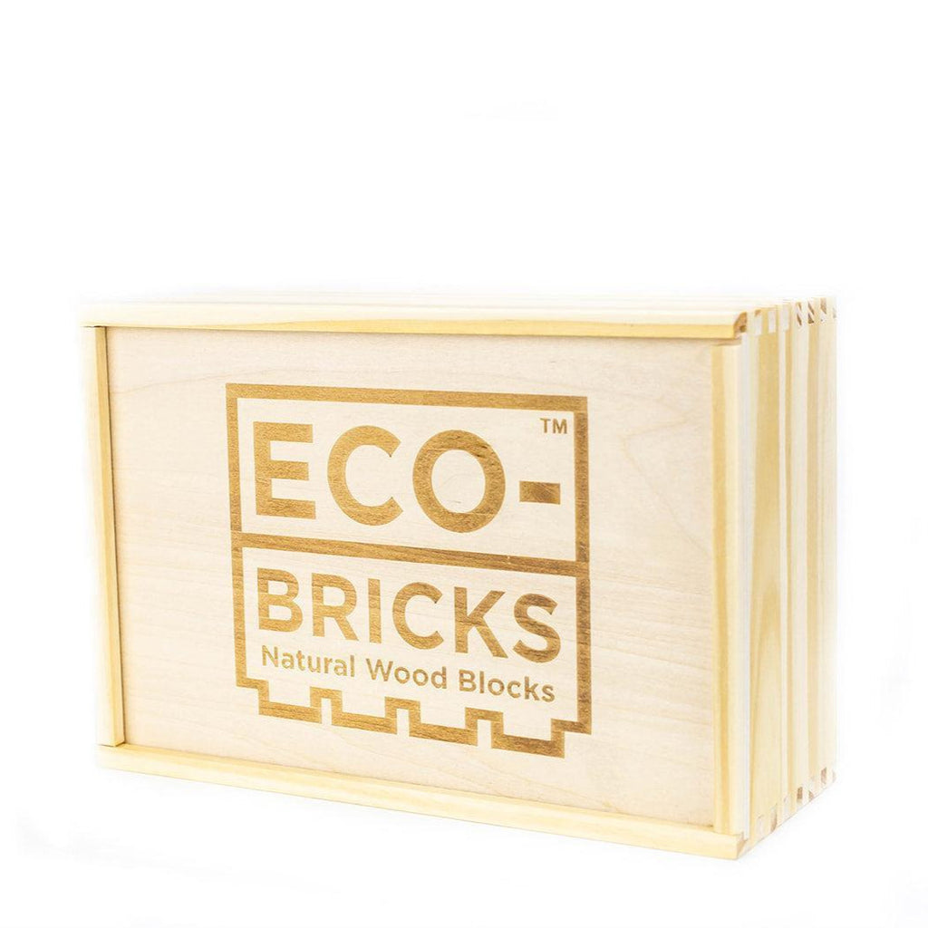 Eco-bricks Classic 250pcs